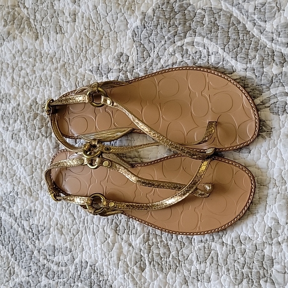 Coach Sandals - Picture 1 of 2